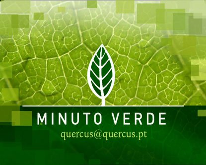 2006, Março - Estreia da rubrica “Minuto Verde”, produzida pela Quercus e exibida todos os dias úteis no programa informativo das manhãs da RTP1, o Bom Dia Portugal.